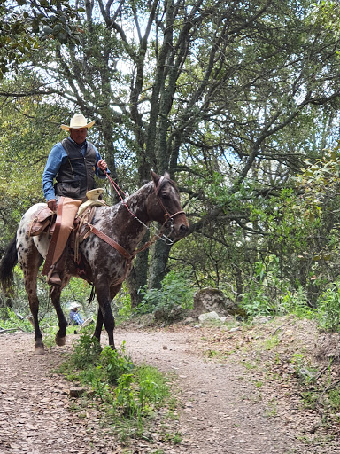 Caballerizas la 30 Gallery - Mexico
