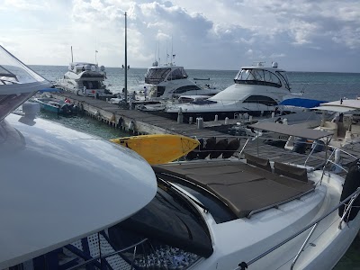 Photos of Amigos Del Mar Dive Shop