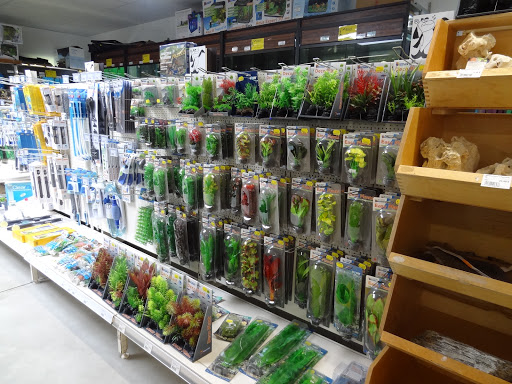 Müllers Hobbymarkt für Angel, Bastel, Reitsport, Zoo, Spielwaren und freie Waffen, Signalwaffen - Thumbnail