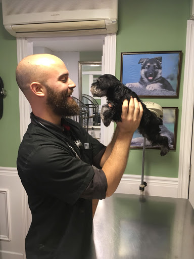 Clínica Veterinaria Jungle Vets