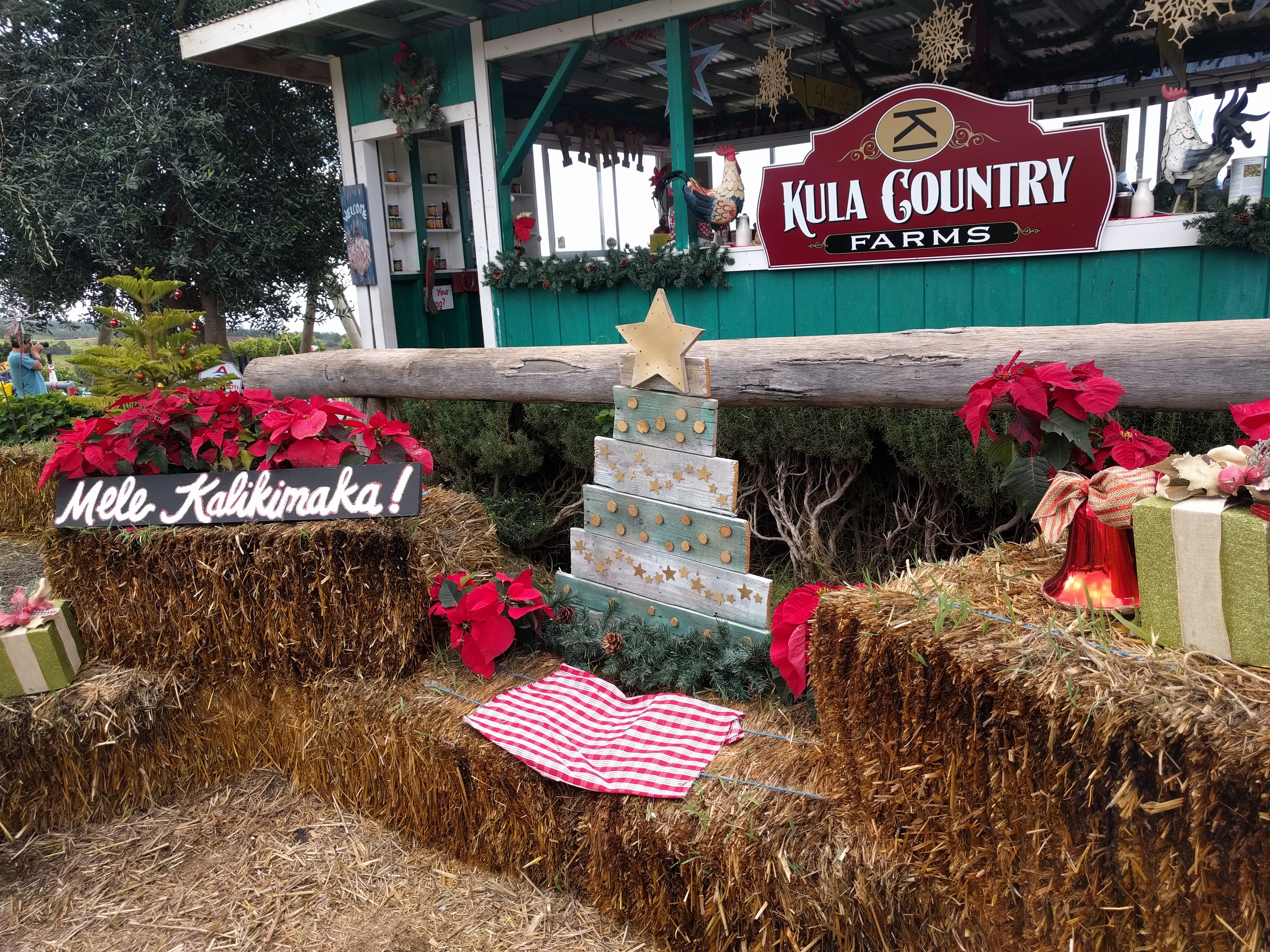 Kula Country Farms