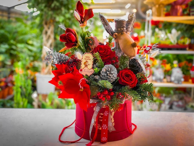 Comentarii opinii despre Λουλούδια "Λευτέρης"