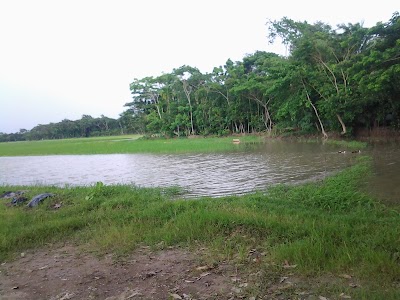 Photos of Jhalokathi Pouro Mini Park (ঝালকাঠি পৌর মিনি পার্ক)
