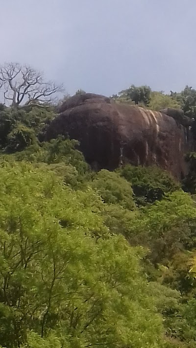 Photos of Walagampura Aranya Senasanaya