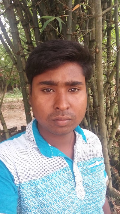 Photos of বেড় পাতাইর সরকারী প্রাথমিক বিদ্যালয়