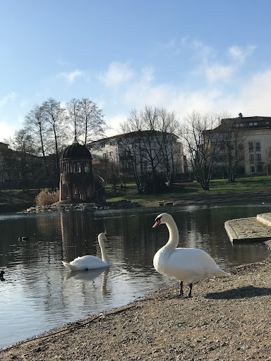 Treppe am seepark - Thumbnail