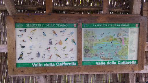 Oasi Acquatica - Visual