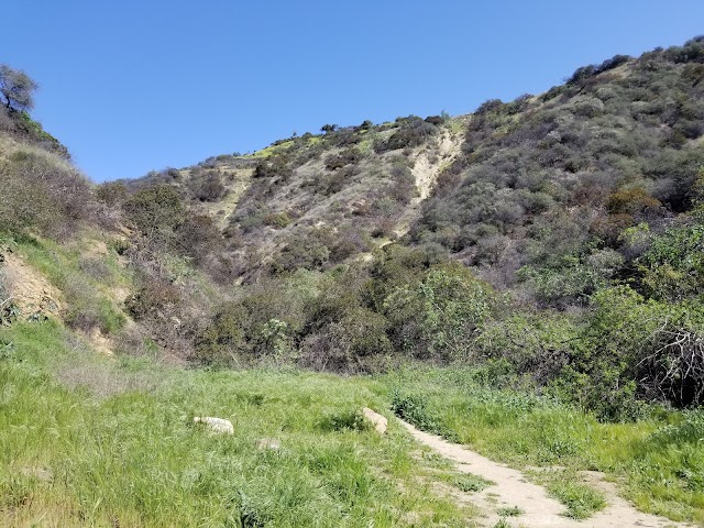 Runyon Canyon Park Entrance - Fuller Avenue