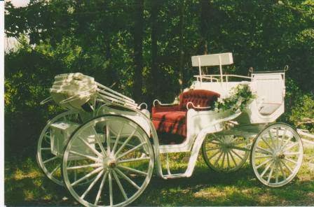 Buggies and Things Horse Drawn Carriage Service - Thumbnail