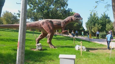 Photos of Natural Park
