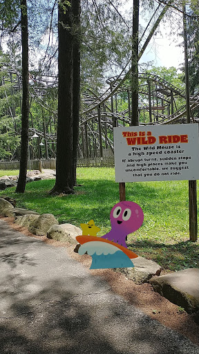 Wild Mouse (Idlewild) - Thumbnail