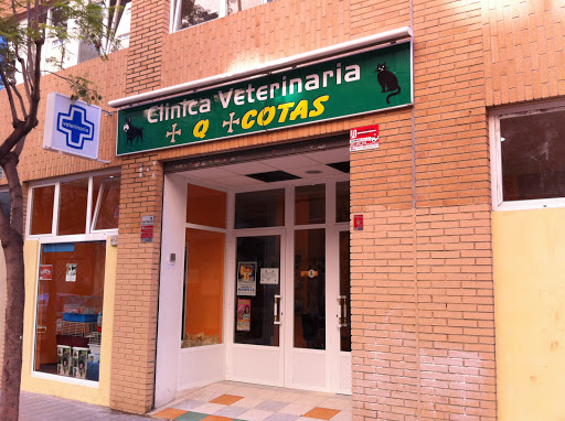 Clínica Veterinaria Más que Mascotas - Thumbnail