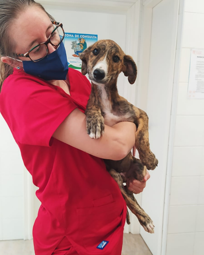 Centre Veterinari El Verger