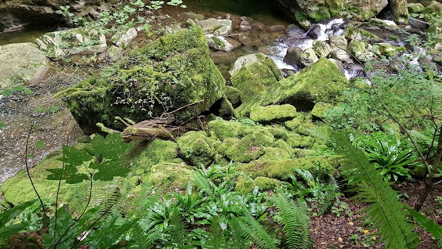 Gorges de L'Areuse