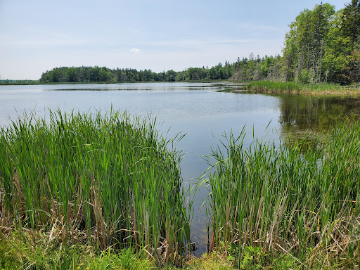 Chignecto National Wildlife Area - Thumbnail