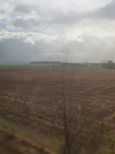 Friedhof Mechterstädt - Visual