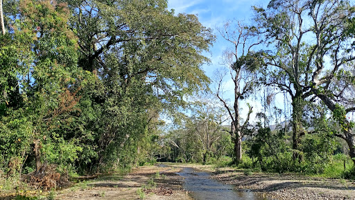 Río de Zacualpa