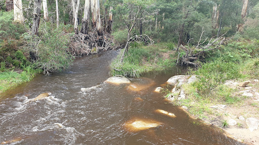 Goongerah Campground - Thumbnail