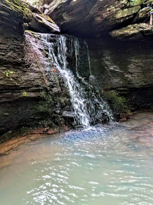 Whitaker Point Trailhead