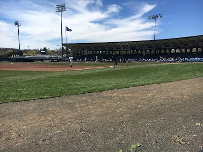 Yale Field