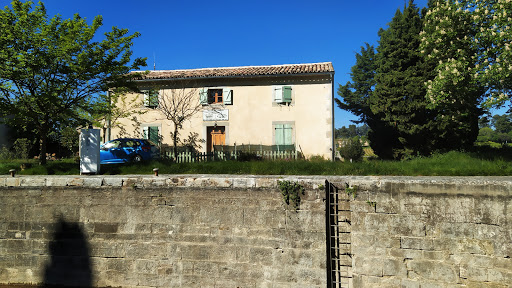 Barthès Daniel - Visual