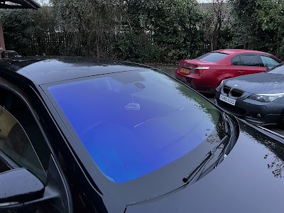 Platinum Tints