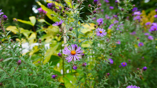 The North Parish of North Andover Unitarian Universalist Church - Thumbnail