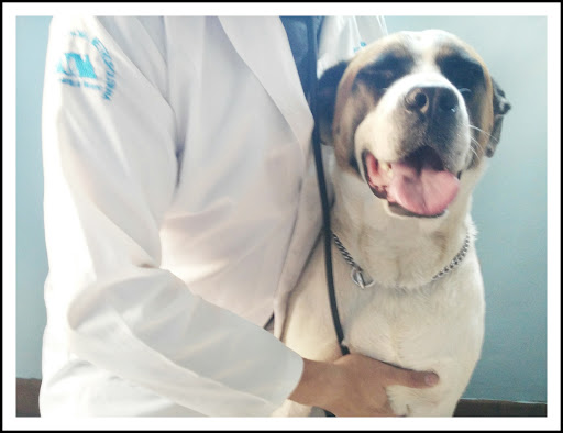 FIGHI Centro Veterinario