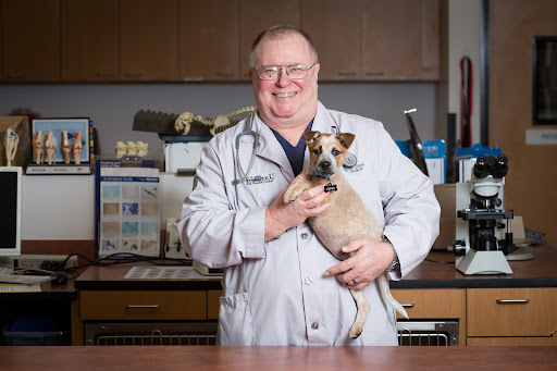 WesternU Pet Health Center Gallery - United States