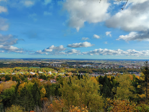 Viewpoint Billingen