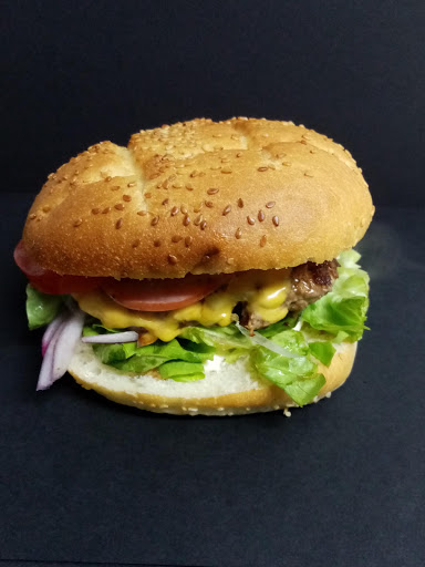 Photo 4 - Cameleon / Léon Burger