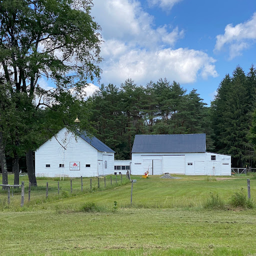 Mountain Airstrip Farm - Thumbnail
