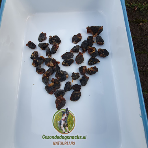 Gezondedogsnacks.nl Gallery - Netherlands