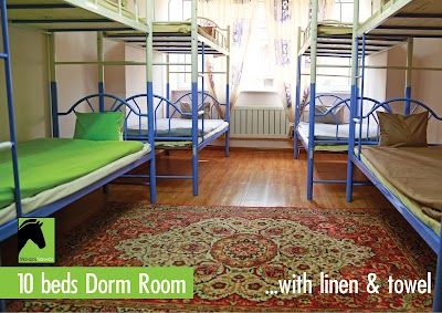 Photos of Mongol Nomads Guesthouse & Tours