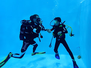 Photo n°26 de Arimair - Magasin et centre de plongée à Plougastel-Daoulas (Centre de plongée)