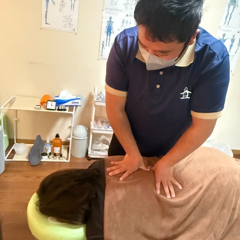 全身整体×美容整体 マリン