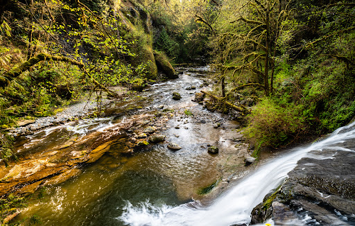 Cliff Falls - Thumbnail