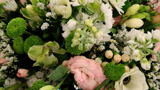 Klondyke Flowers - Thumbnail