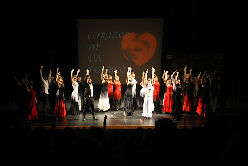 Ciarts. Centro Integral de Artes. Escuela de Danza - Thumbnail