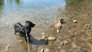 Photo n°33 de Les Pattes Câlines à Causses-et-Veyran (Aide à domicile)