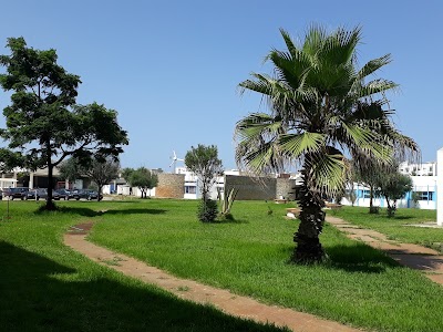 university