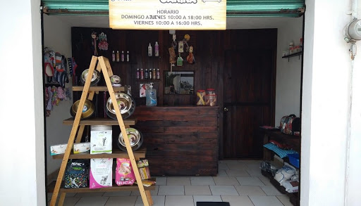 Estetica canina “Cazador” Gallery - Mexico