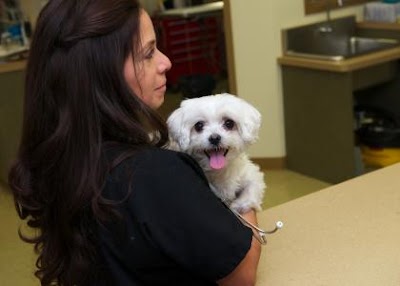 VCA Little Falls Animal Hospital