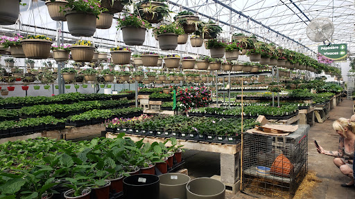 Jardin des Trouvailles | Serres & Jardinerie - Thumbnail