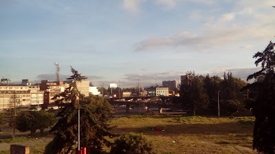 Photos of Coliseum El Camp&iacute;n