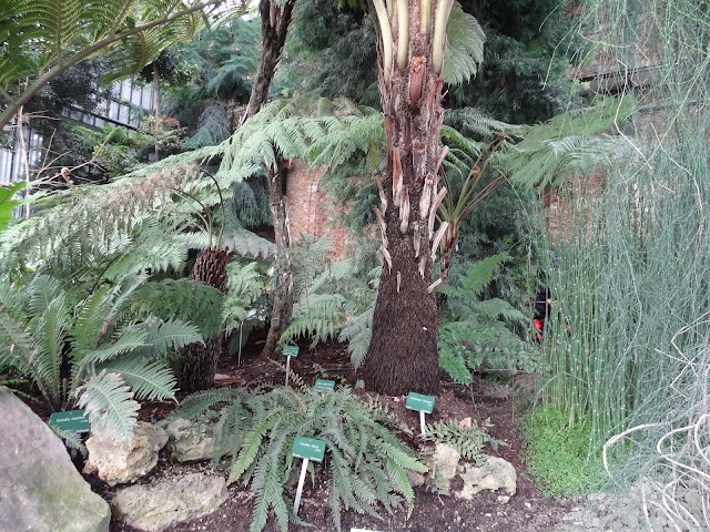 Grandes Serres du Jardin des Plantes