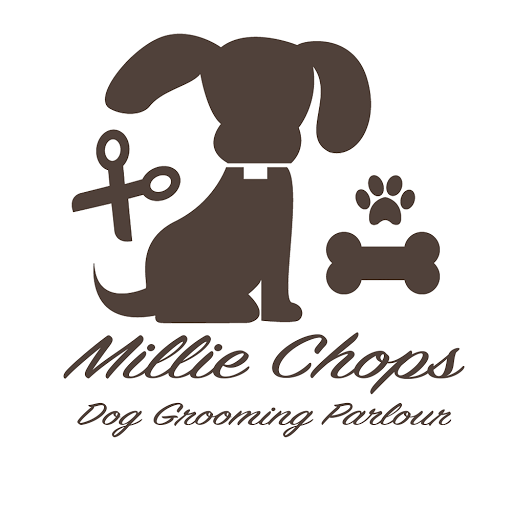 Millie Chops - Visual