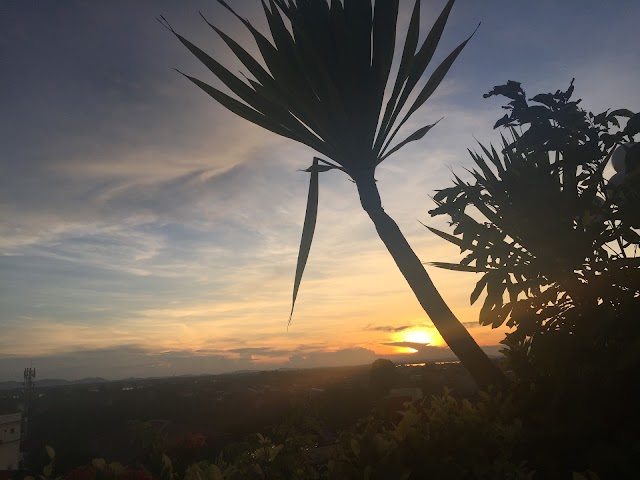 Le Panorama