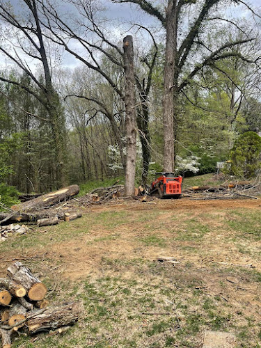 Lucky’s Tree Removal and Landscape Services
