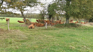 Photo n°15 de GAEC La Clef du Sol à Chabanais (Éleveur)